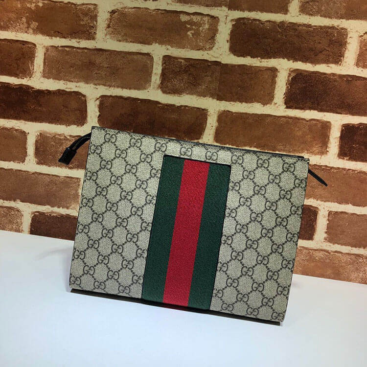 gg S*p*e web pouch